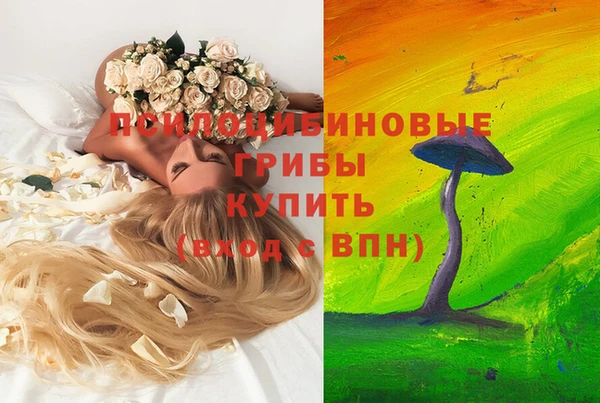 гидропоника Белоозёрский