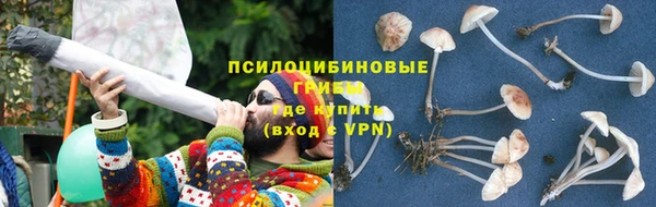 гашиш Белокуриха