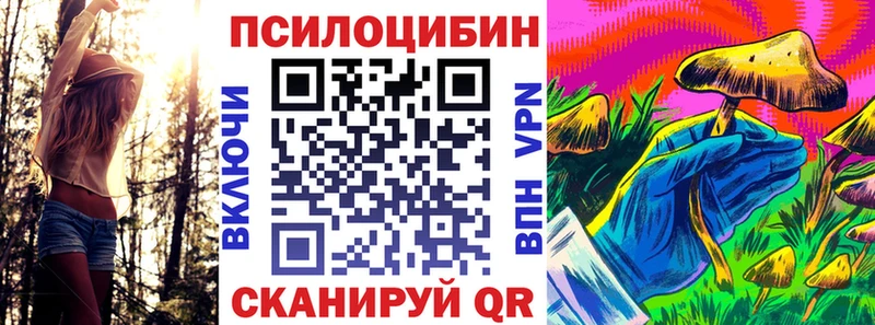 omg ONION  Верхотурье  Псилоцибиновые грибы прущие грибы 